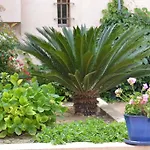 Le Mazet Des Mures Bed & Breakfast