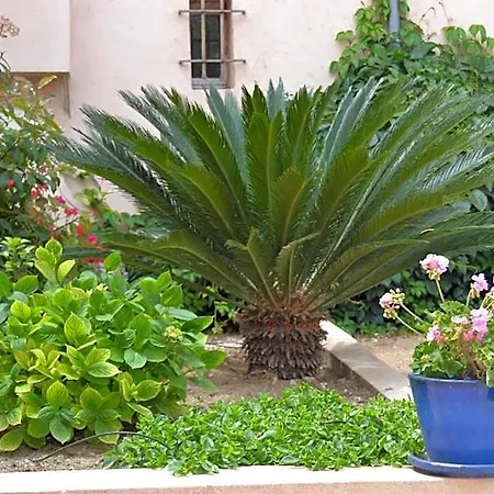 Le Mazet Des Mures Grimaud
