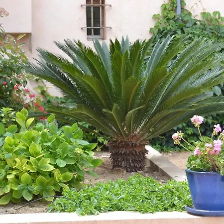 Le Mazet Des Mures Bed & Breakfast