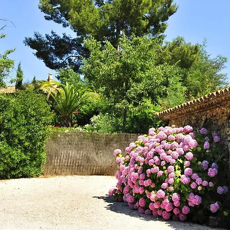 Le Mazet Des Mures Frühstückspension Grimaud