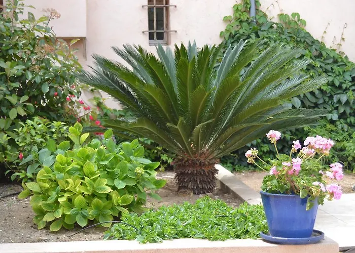 Le Mazet Des Mures B&B